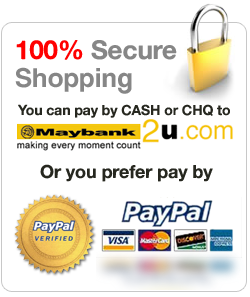 We Accept Paypal