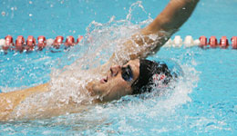 Adult Basic Swimming Package