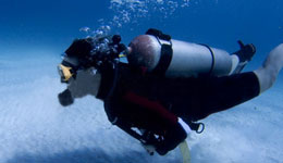 Intensive Diver Swimming Package